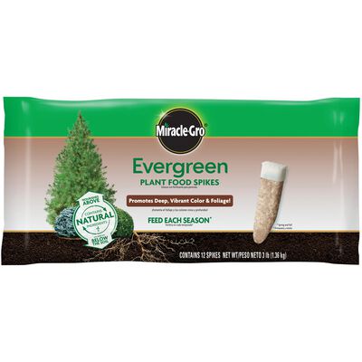 Miracle-Gro® Evergreen Plant Food Spikes